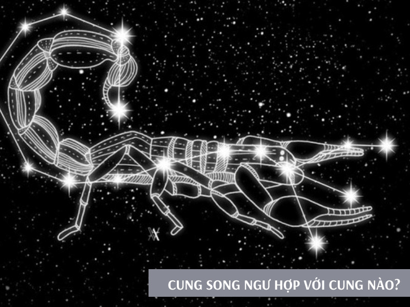 Cung Bọ Cạp Hợp Cung Nào?