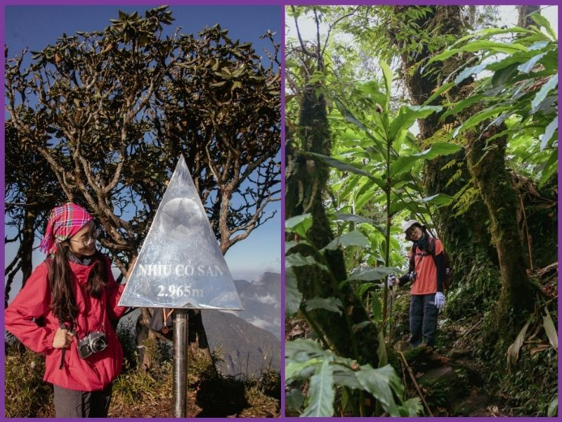 Đi trekking mặc gì? Checklist chọn trang phục trekking chuẩn nhất