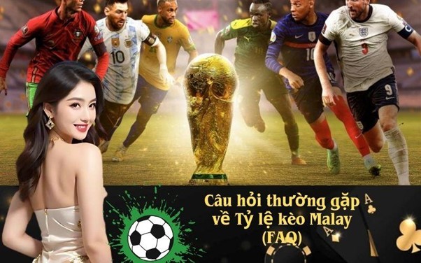 Tỷ lệ kèo Malay: Đặc điểm và cách áp dụng