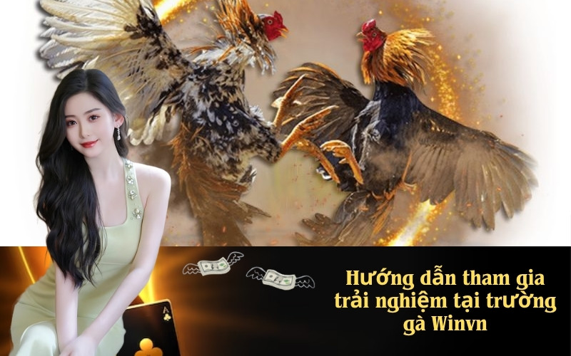 Winvn &#8211; Top trường gà trực tuyến uy tín hàng đầu hiện nay