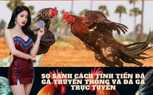 Hướng Dẫn Cách Tính Tiền Thắng Trong Đá Gà Toàn Tập Từ A-Z