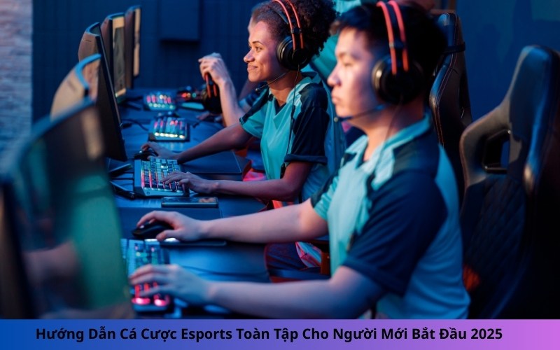 Hướng Dẫn Cá Cược Esports Toàn Tập Cho Người Mới Bắt Đầu 2025