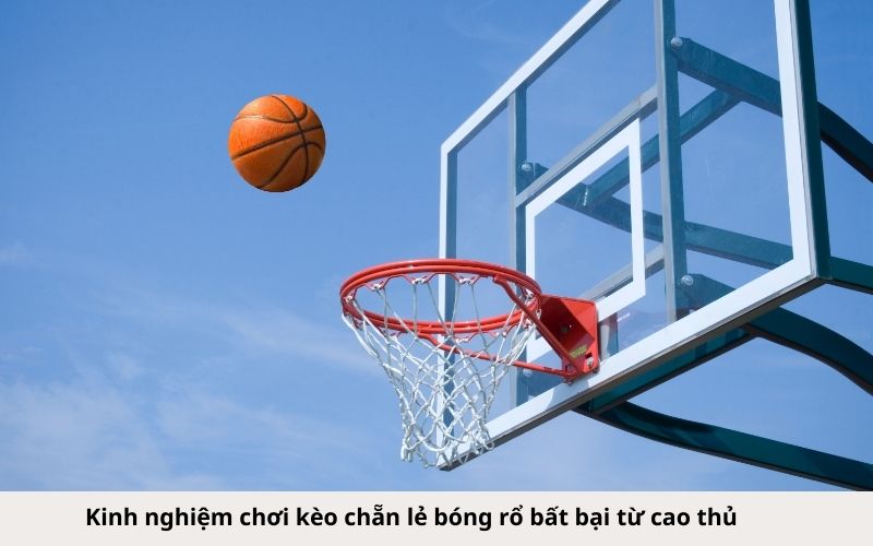 Kinh nghiệm chơi kèo chẵn lẻ bóng rổ bất bại từ cao thủ
